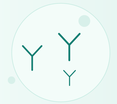 Immunology Tests illustration